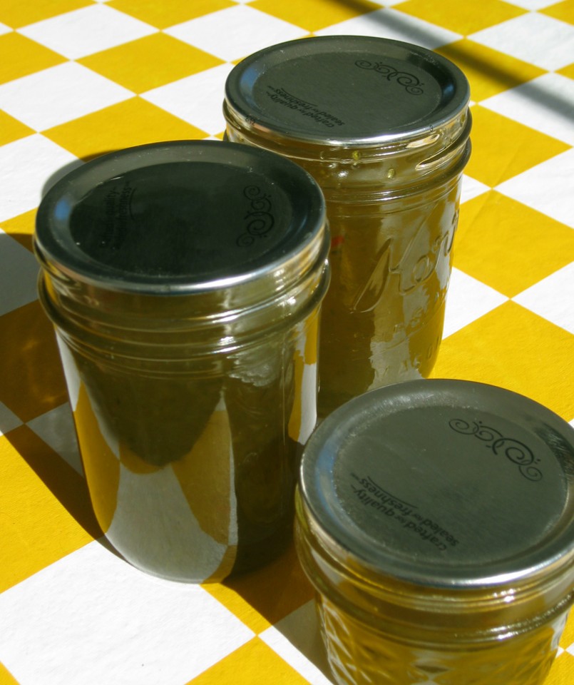 Hot jalapeno jelly canning recipe
