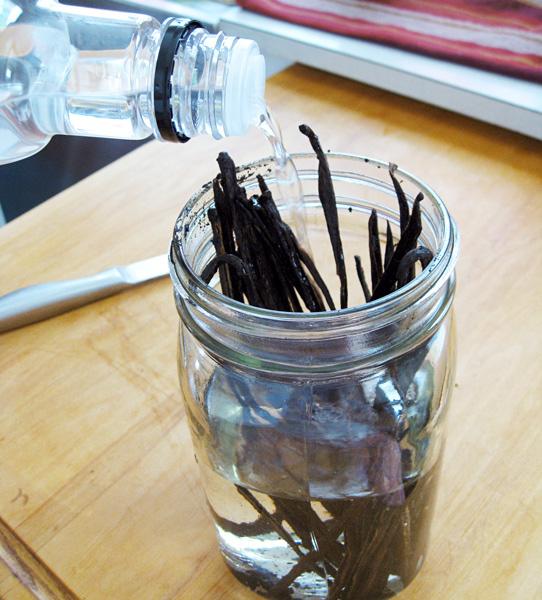 Pour vodka over the vanilla beans