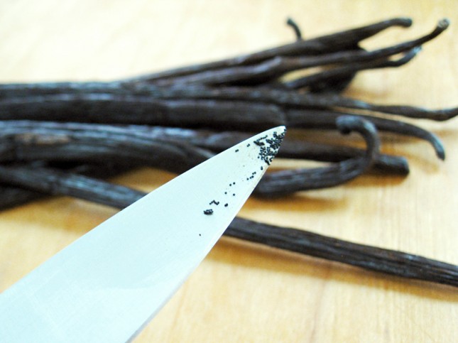 Look at the teeny tiny seeds from inside the vanilla bean!