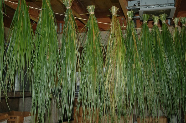 Allnatural air freshener sweet grass braids